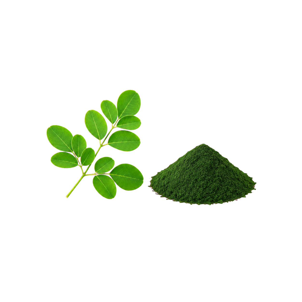 Okinawan moringa leaves with Yaeyama chlorella powder
