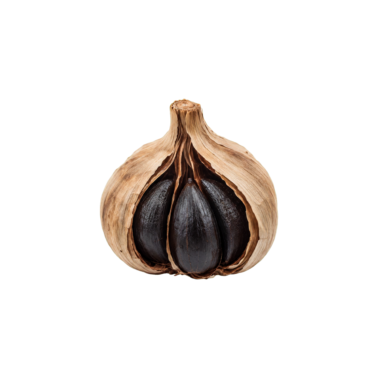 Partly opened fermented black garlic bulb