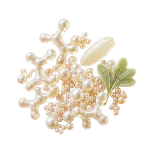 Delicate culture forms representing the heat-treated bacterial ingredients
