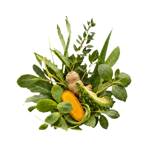 Small arrangement of herbs representing the fermented fifteen-plant extract